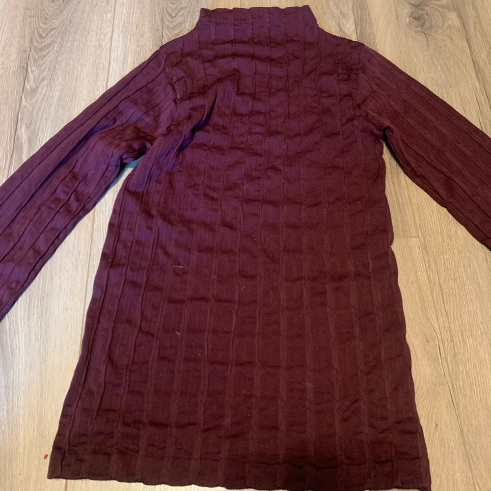 Bella seamless burgundy turtle neck shirt